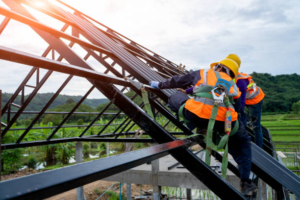 Best Roof Gutter Cleaning  in Bort, GA