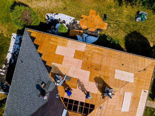 Best Local Roofing Companies  in Bort, GA