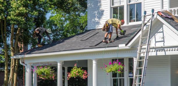 Best Roof Gutter Cleaning  in Bort, GA